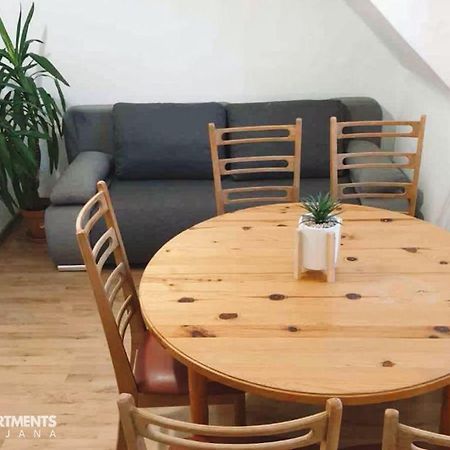 Huge Bbq Garden 2, Spacious Flat, Ac, Free Parking 2 Любляна Экстерьер фото