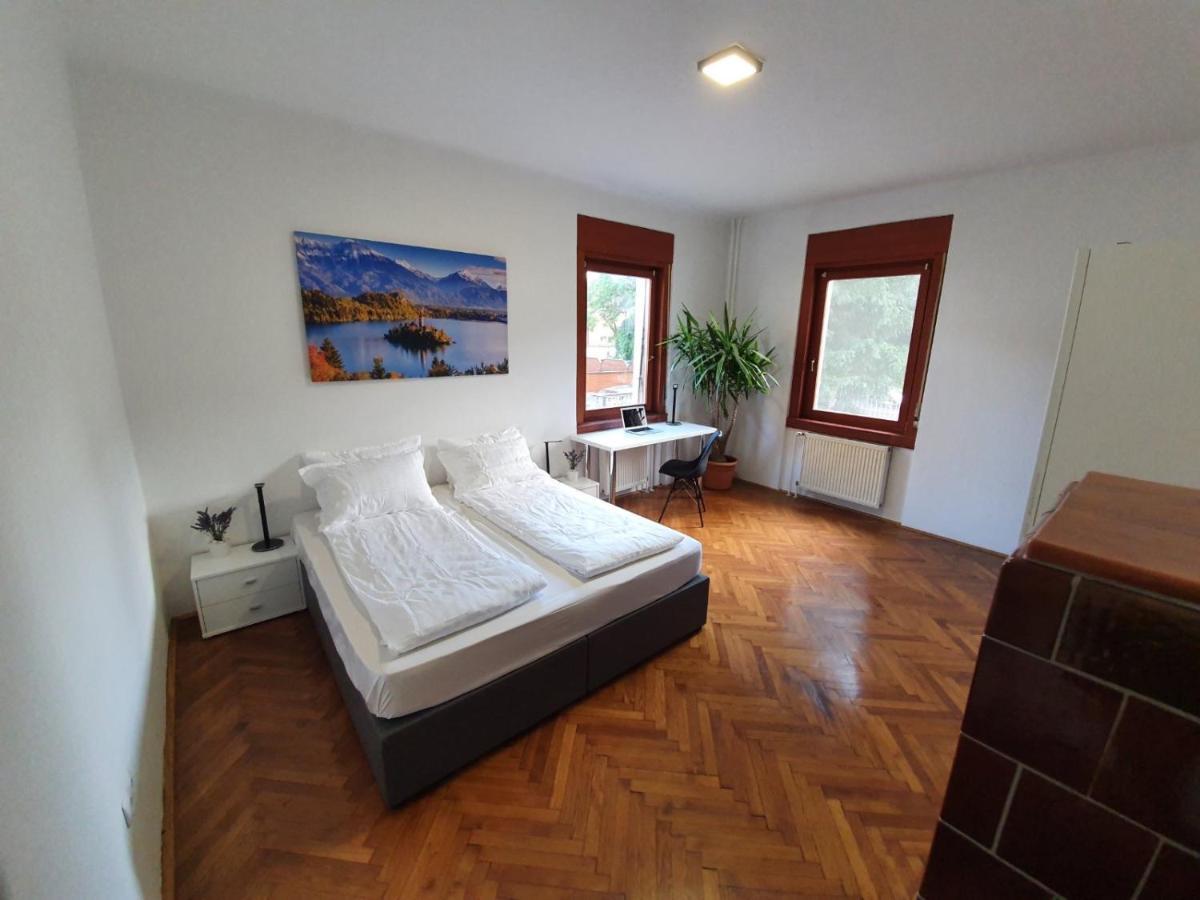 Huge Bbq Garden 2, Spacious Flat, Ac, Free Parking 2 Любляна Экстерьер фото