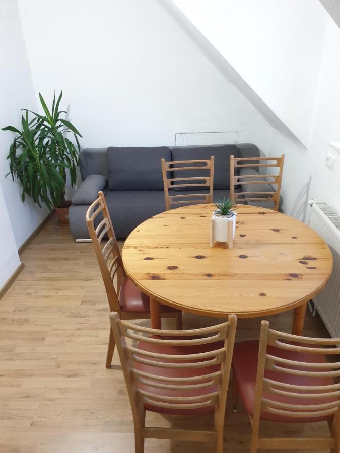 Huge Bbq Garden 2, Spacious Flat, Ac, Free Parking 2 Любляна Экстерьер фото