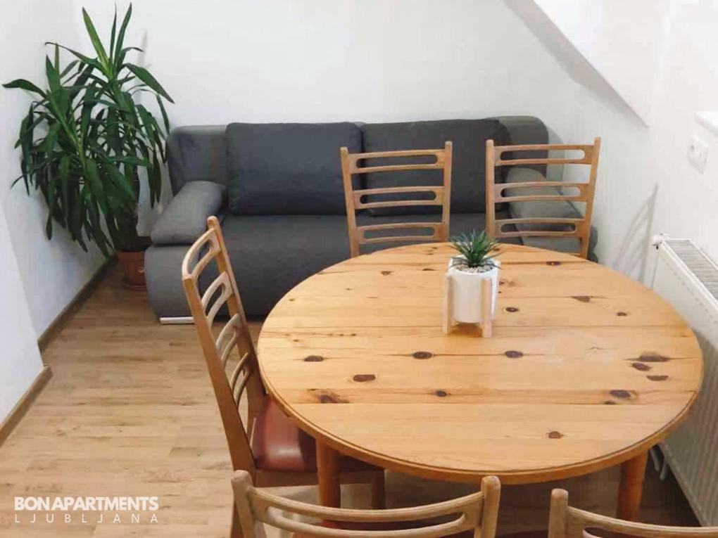 Huge Bbq Garden 2, Spacious Flat, Ac, Free Parking 2 Любляна Экстерьер фото